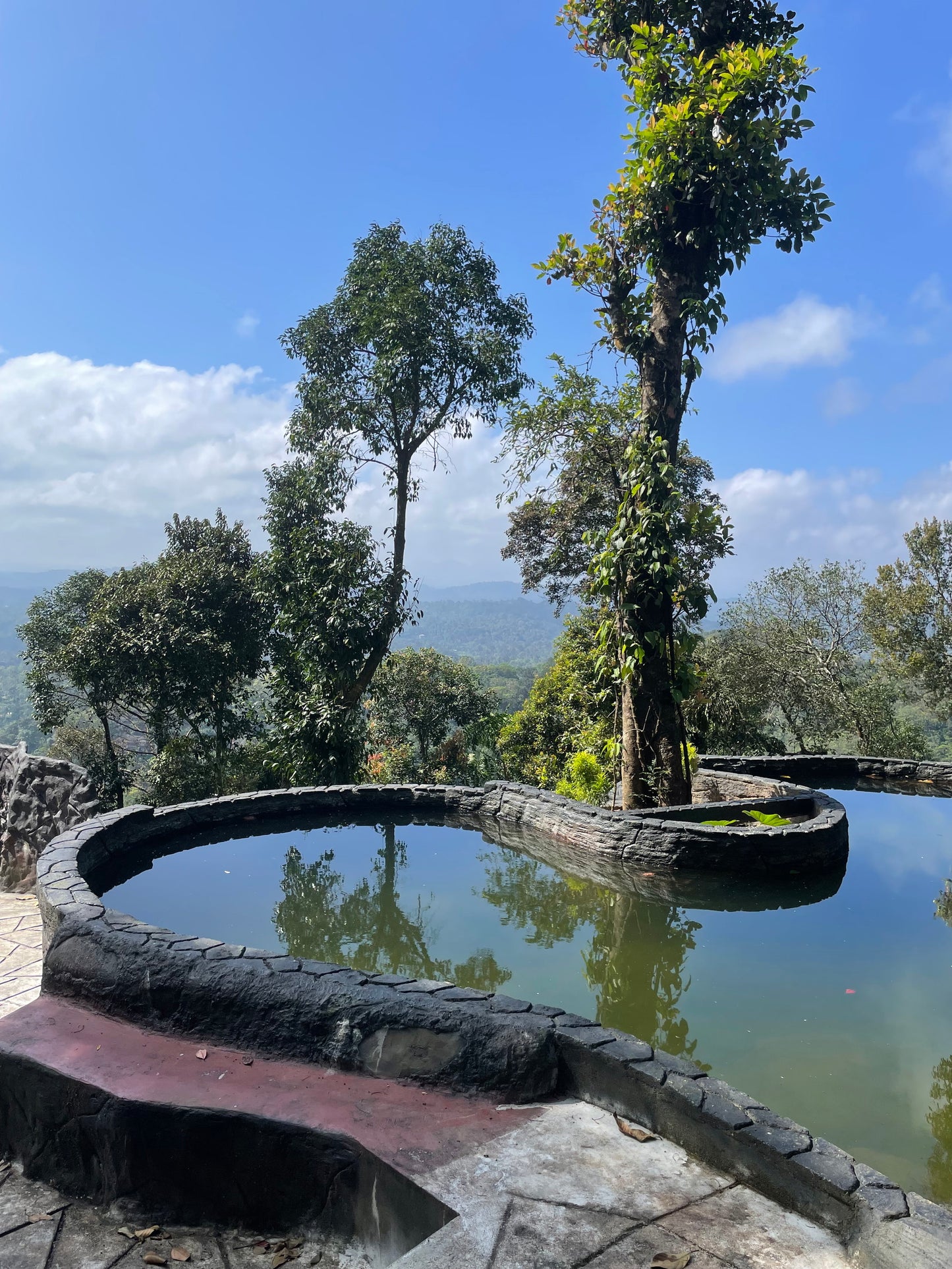 KaayamKaad - Misty view - a family stay @Madikeri
