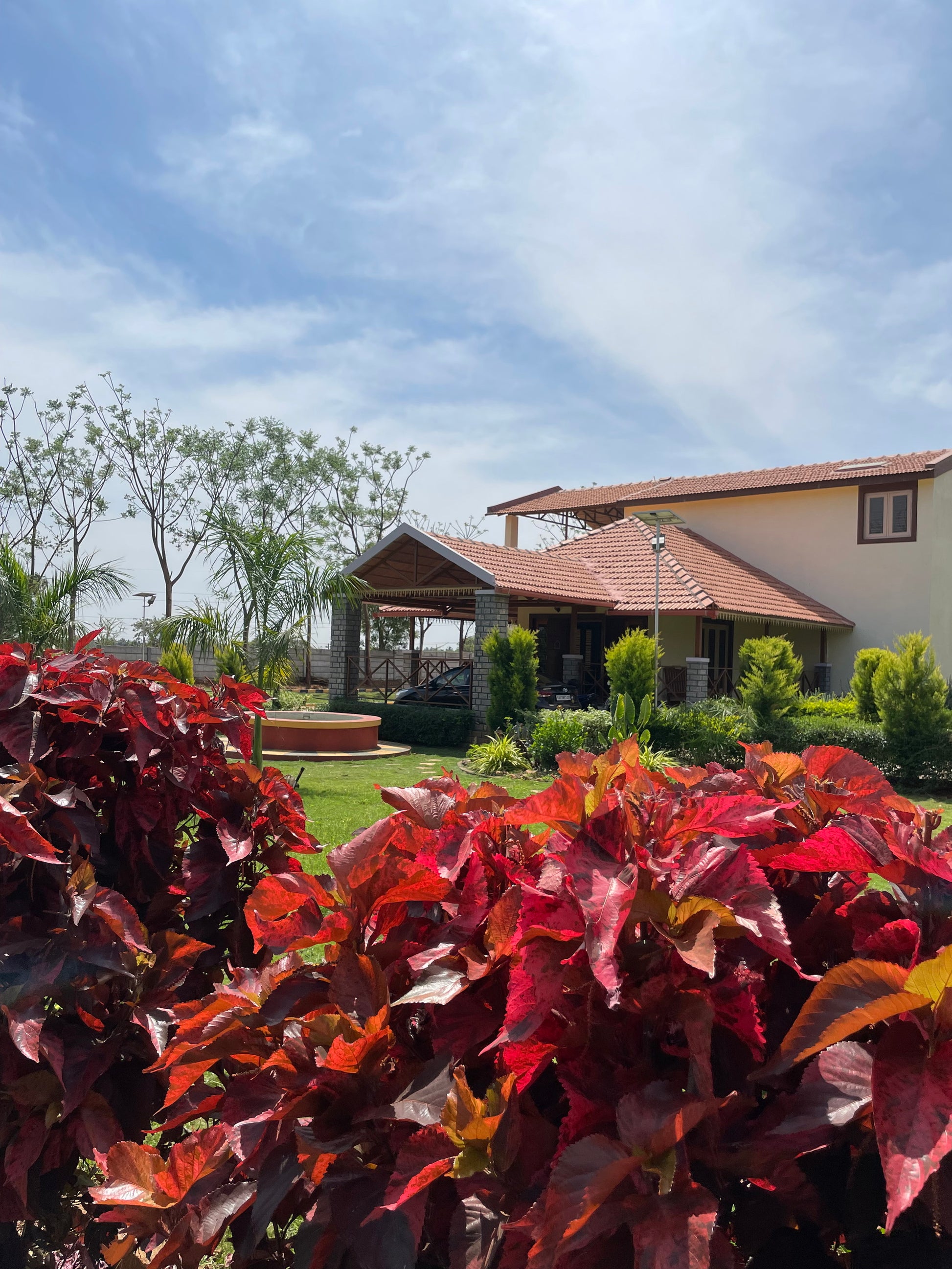 RR Ranch  Mysore Pet friendly farm